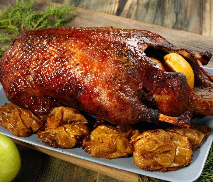 head-duck-with-orange.jpg