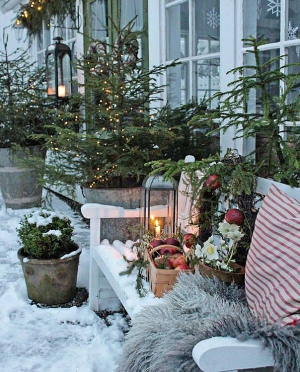winter-garden.jpg